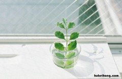 简短唯美有内涵的个性签名有哪些 简短又有内涵的个性签名