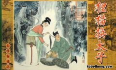 类似狸猫换太子的成语有哪些 类似狸猫换太子的词语