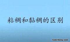 粘稠和黏稠的区别是什么 南通荷兰街小吃