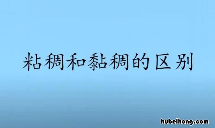 粘稠和黏稠的区别是什么 南通荷兰街小吃