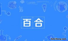 网络用语百合是什么意思 网络语言百合是什么