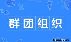 群团组织包括哪些 群团组织包含哪些