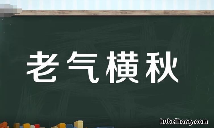 老气横秋怎么造句 老气横秋是贬义词还是褒义词