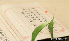 老蒯在东北是什么意思 老蒯东北话啥意思