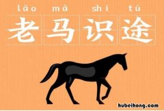 老马识途是什么意思 老马识途指的是什么意思