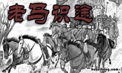 老马识途的主人公是谁 老马识途是一个什么样的故事
