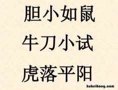 老鼠的成语有哪些 老鼠的成语有多少个成语