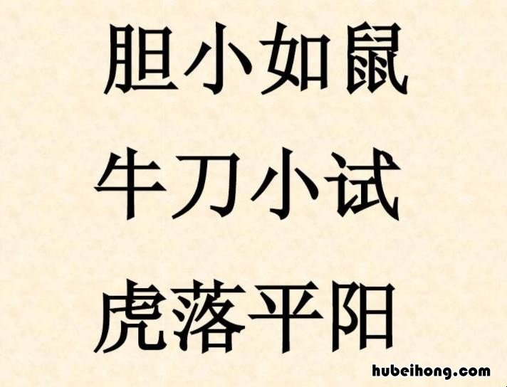老鼠的成语有哪些 老鼠的成语有多少个成语