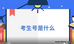 考生号是什么 14位考生号是什么
