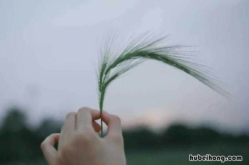 胡思乱想的意思是什么 胡思乱想 的意思解释