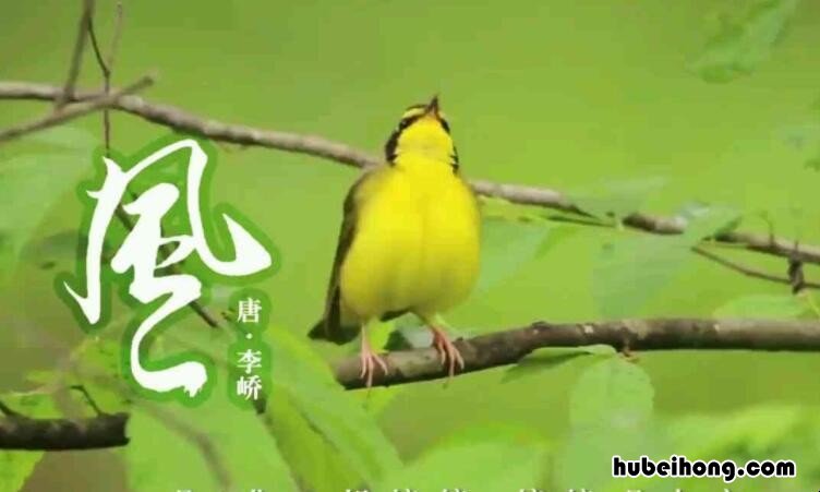 能开二月花全诗是什么 能开二月花的上一句是什么么季节