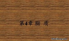 脂质是生物大分子吗 脂质是存在于所有细胞的重要有机化合物