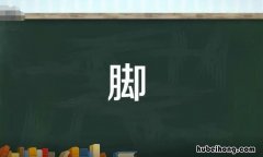 脚字组词有哪些 脚字的组词怎么组