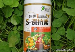 脱落酸性质与稳定性有哪些 脱落酸的本质是什么