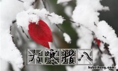 腊七腊八冻死寒鸦类似的谚语有哪些 和腊七腊八冻死寒鸦一样的俗语