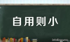 自用则小前一句是什么 自用则小前面一句是啥