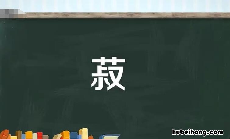 草字头加叔是什么字 草字头加叔读什么字