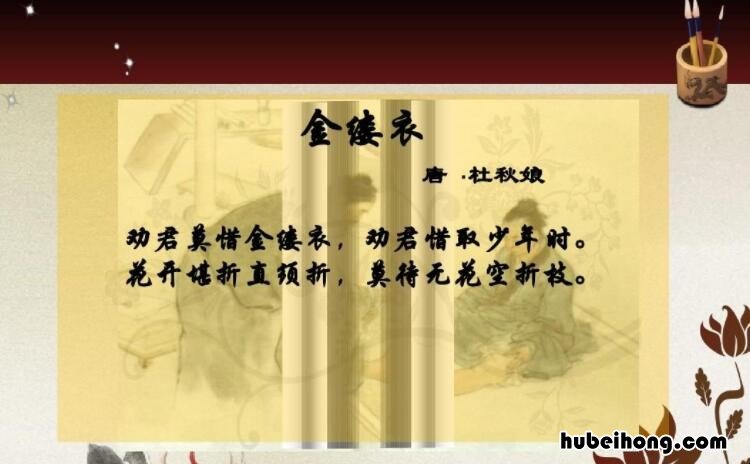 莫待无花空折枝的上一句是什么 莫待无花空折枝是什么古诗