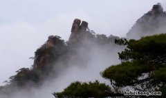 蒙蒙的什么填空词语有哪些 蒙蒙的什么填词语