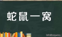 蛇鼠一窝是什么意思 蛇鼠一窝的成语是什么意思