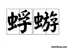 蜉蝣是什么意思 寄蜉蝣于天地寄蜉蝣