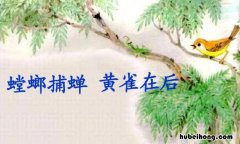 螳螂捕蝉黄雀在后意思是什么 螳螂捕蝉黄雀在后
