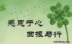 表达回报的成语有哪些 作为回报的成语