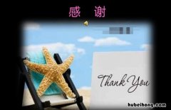 表达感谢感激感恩的话有哪些 表达感谢感激感恩的话有哪些句子呢