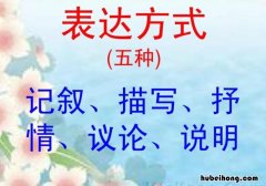 表达方式有哪几种 表达方式有哪几种及作用