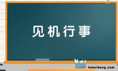 见机行事是什么意思 见机行事,是什么意思