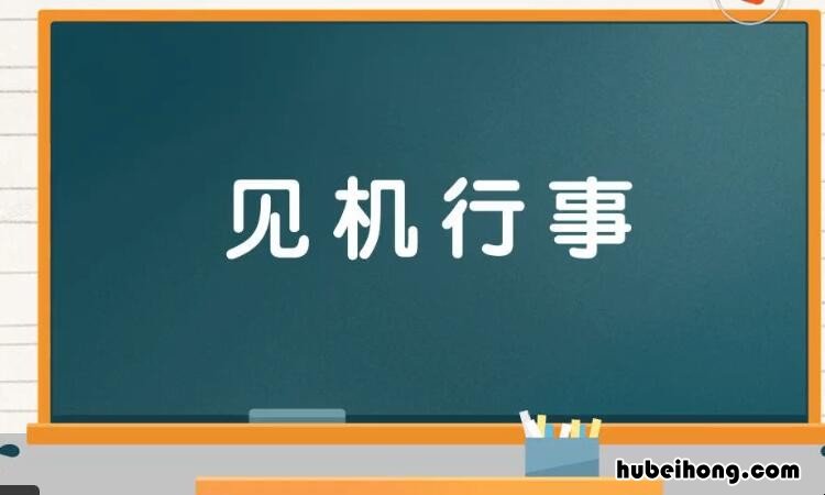 见机行事是什么意思 见机行事,是什么意思