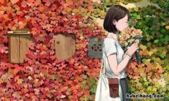 让人心安的句子有哪些 让人心安的文案短句