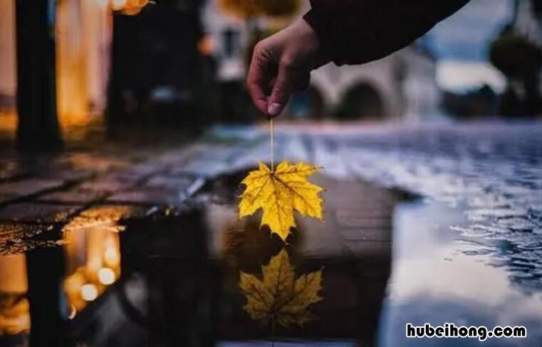 诠释什么意思 诠释的意思最佳答案