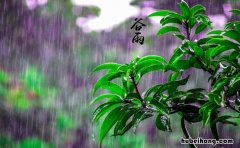 谷雨是什么时候 谷雨是什么季节呢英文