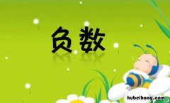 负数是有理数吗 负数算有理数还是无理数