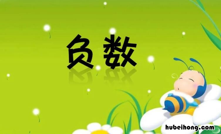 负数是有理数吗 负数算有理数还是无理数