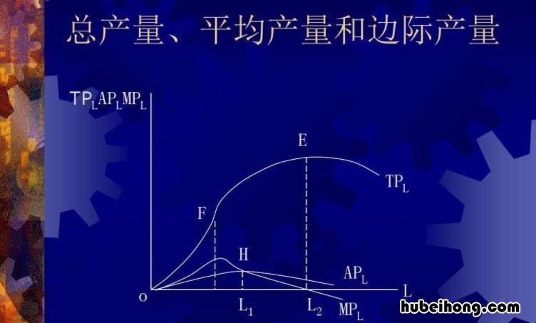 边际产量与平均产量的关系是什么 边际产量曲线与平均产量曲线图像