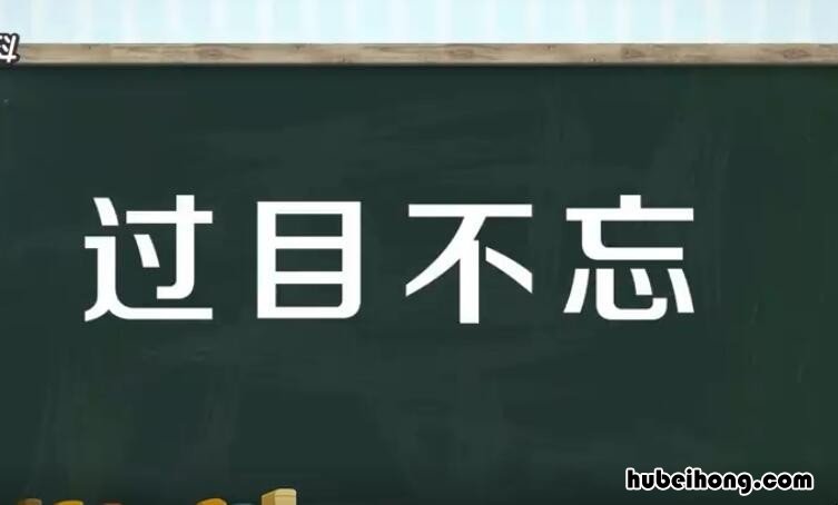 过目不忘的意思是什么 过目不忘是啥意思