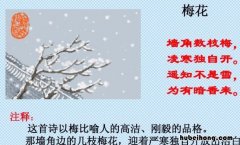 遥知不是雪下一句是什么 遥知不是雪的下一句是什么