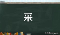 采字组词有哪些 采字的组词