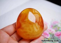 金绞蜜是什么 金绞蜜特点