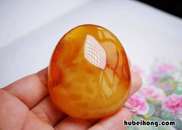 金绞蜜是什么 金绞蜜特点