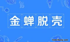 金蝉脱壳怎么造句 根据金蝉脱壳写一种小动物