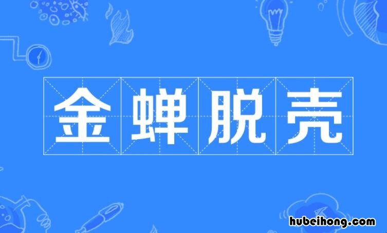 金蝉脱壳怎么造句 根据金蝉脱壳写一种小动物