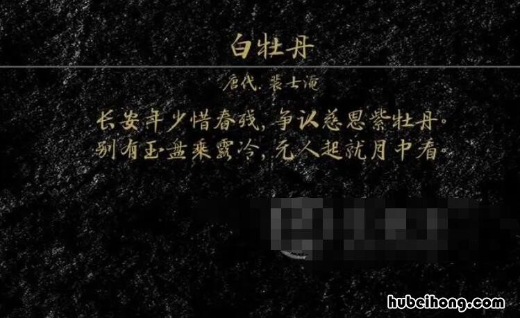 长安年少惜春残下一句是什么 长安年少惜作者