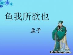 鱼与熊掌不可兼得的原文是什么 鱼与熊掌不可兼得是谁的名言