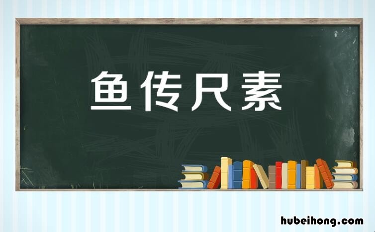 鱼传尺素的造句有哪些 传鱼尺素成语