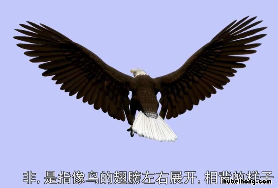 非是什么意思 非零表示